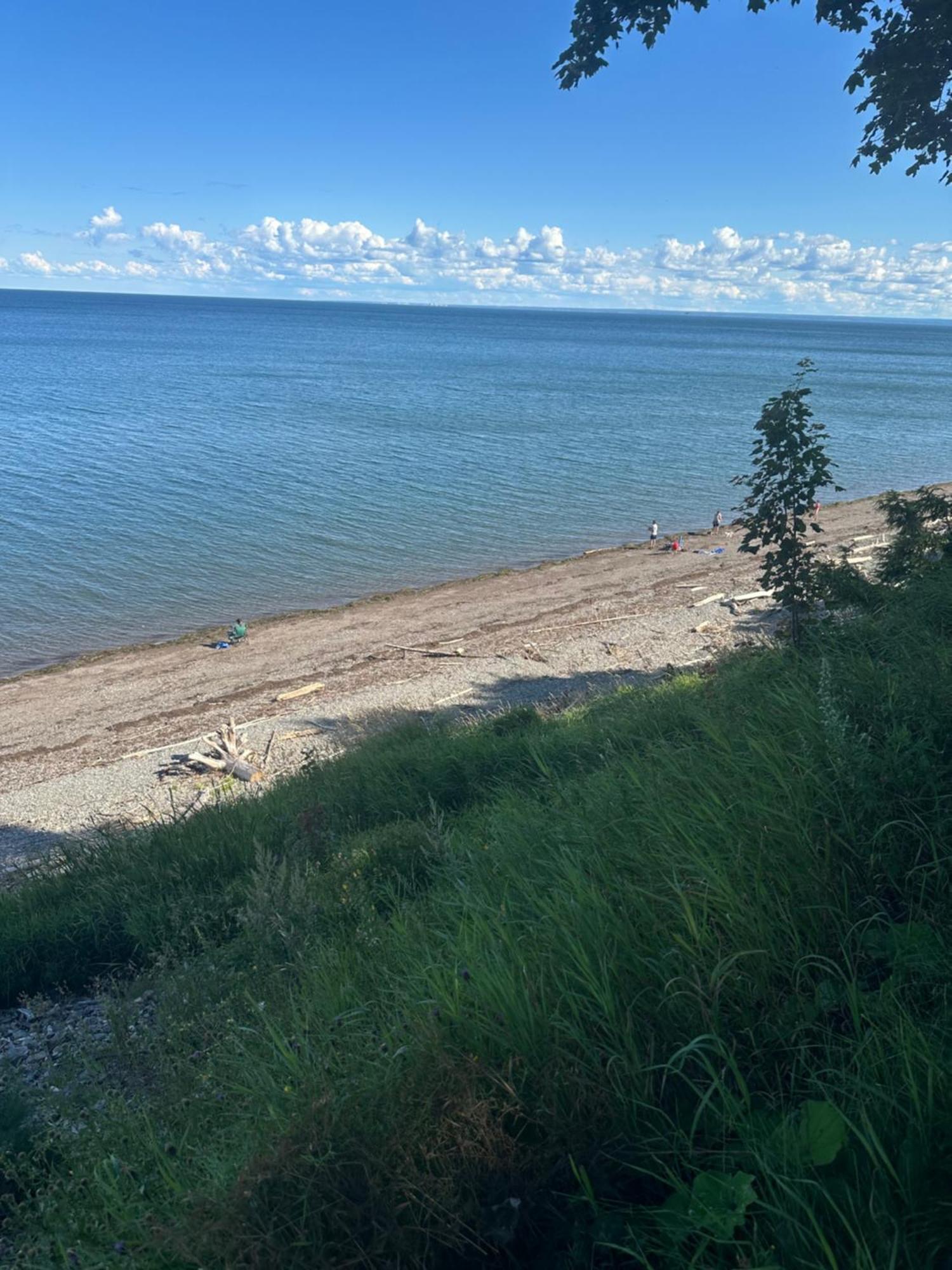 Motel Carleton Sur Mer Экстерьер фото